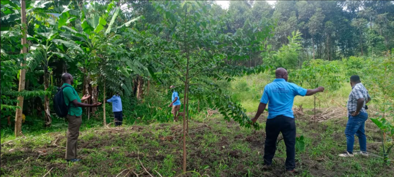 Climate Change Mainstreaming in Community Initiatives