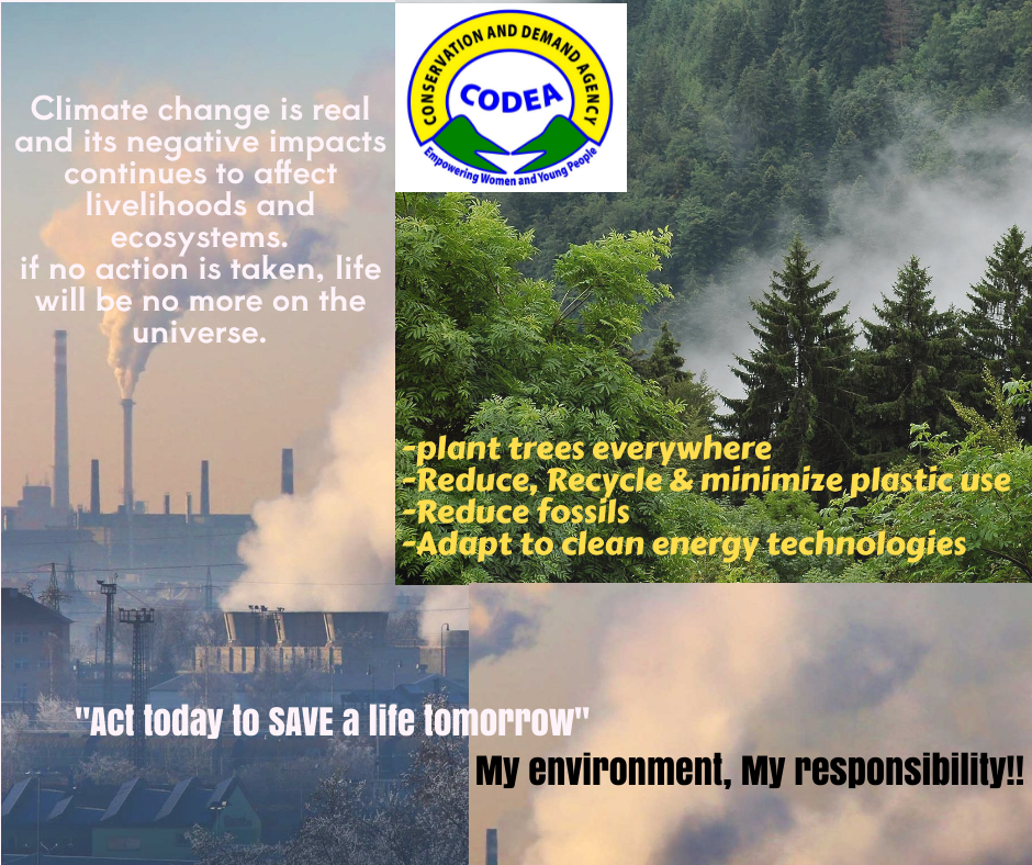 Building Stronger Local Institutions for Service Delivery