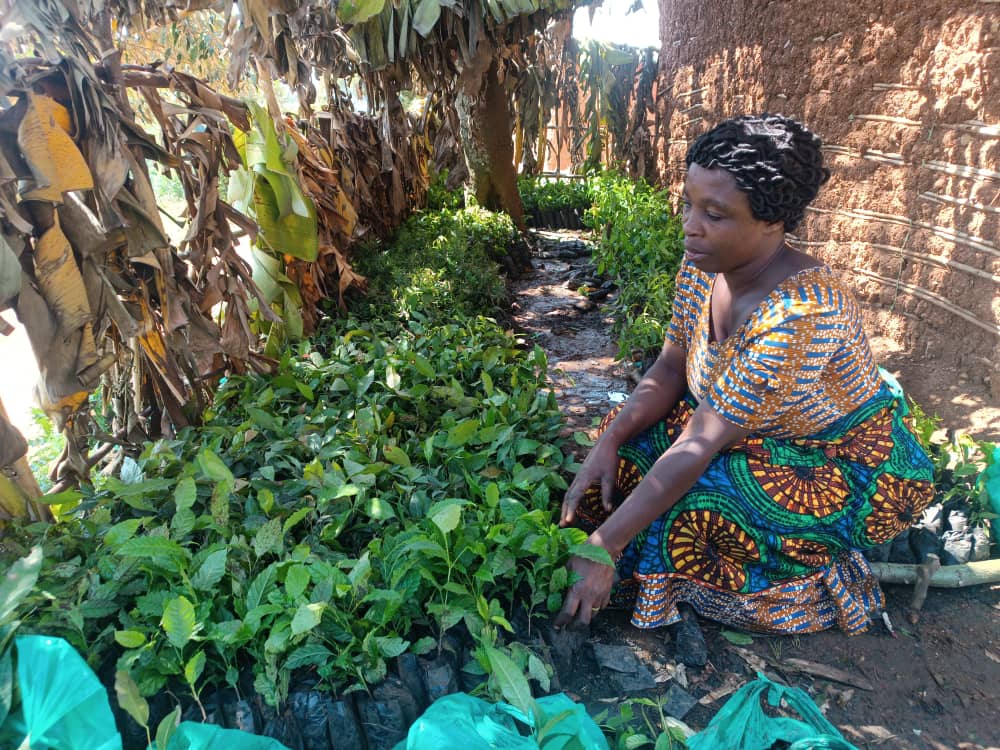 Youth and Women Engagement in Forest Landscape Restoration