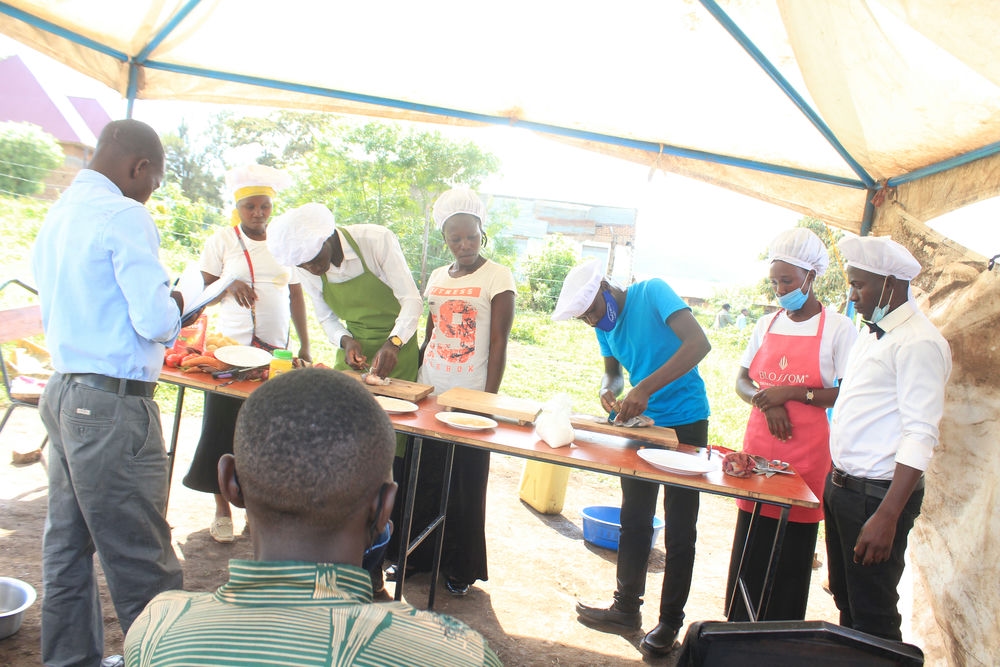 CODEA Activities