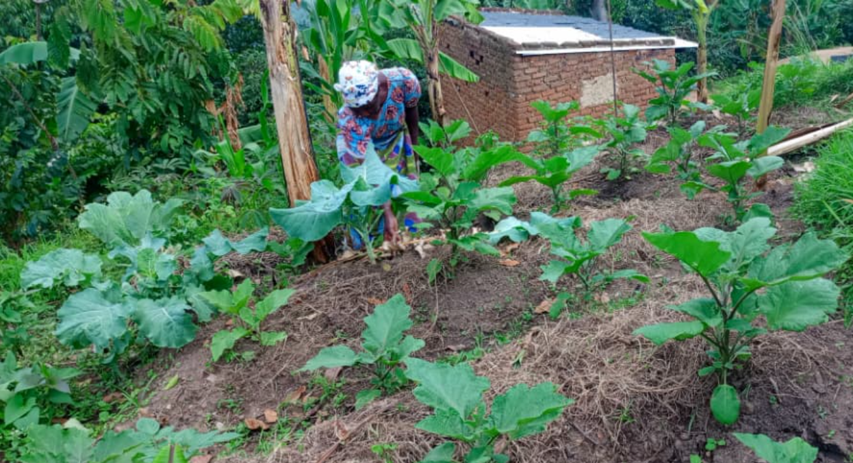 Strengthening Climate Resilience and Livelihoods (SCREL)