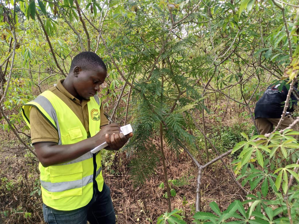 Livelihoods Rwenzori Yethu Project